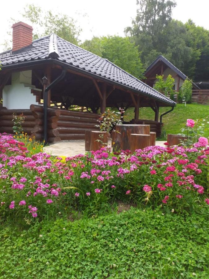 Pensiunea Doina Bucovinei Otel Mînăstirea Humorului Dış mekan fotoğraf