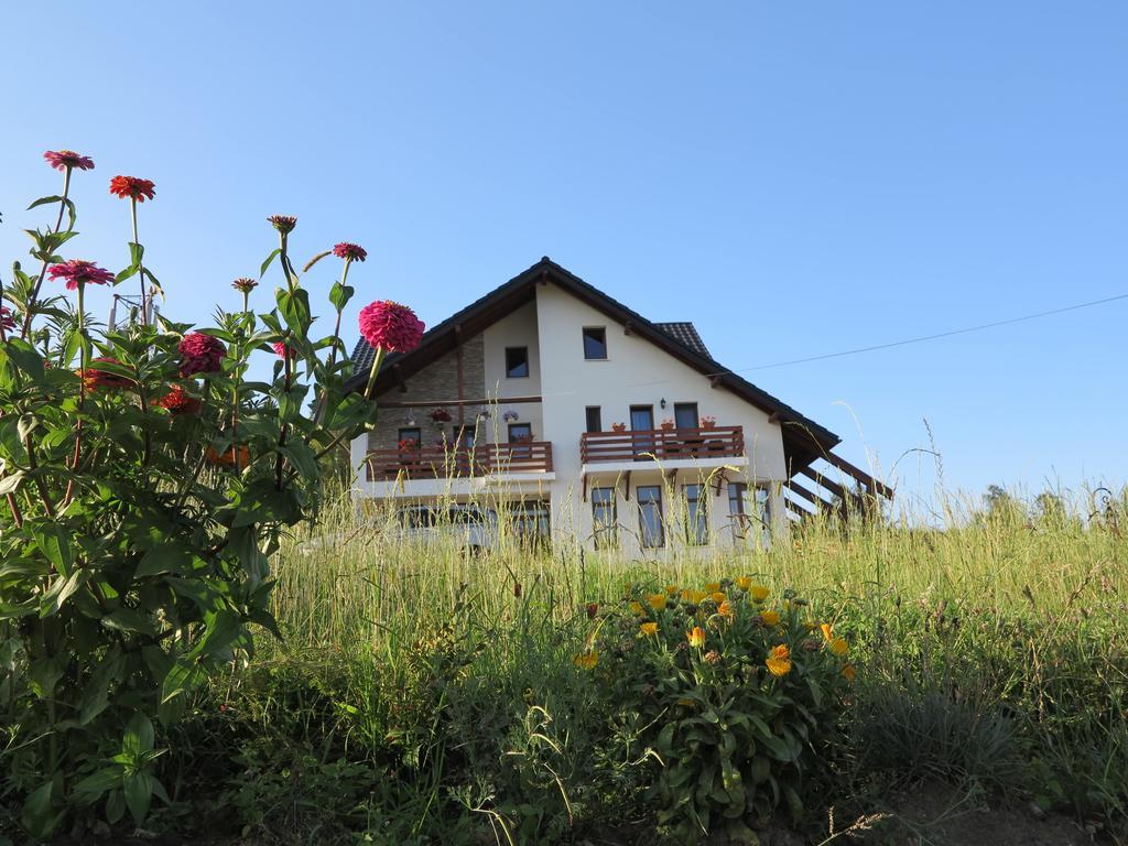 Pensiunea Doina Bucovinei Otel Mînăstirea Humorului Dış mekan fotoğraf